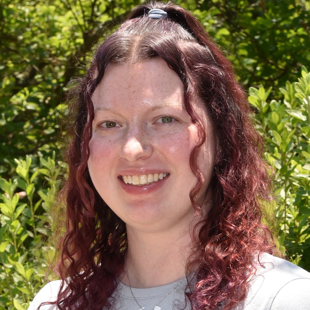 OriginalImage,,,Original