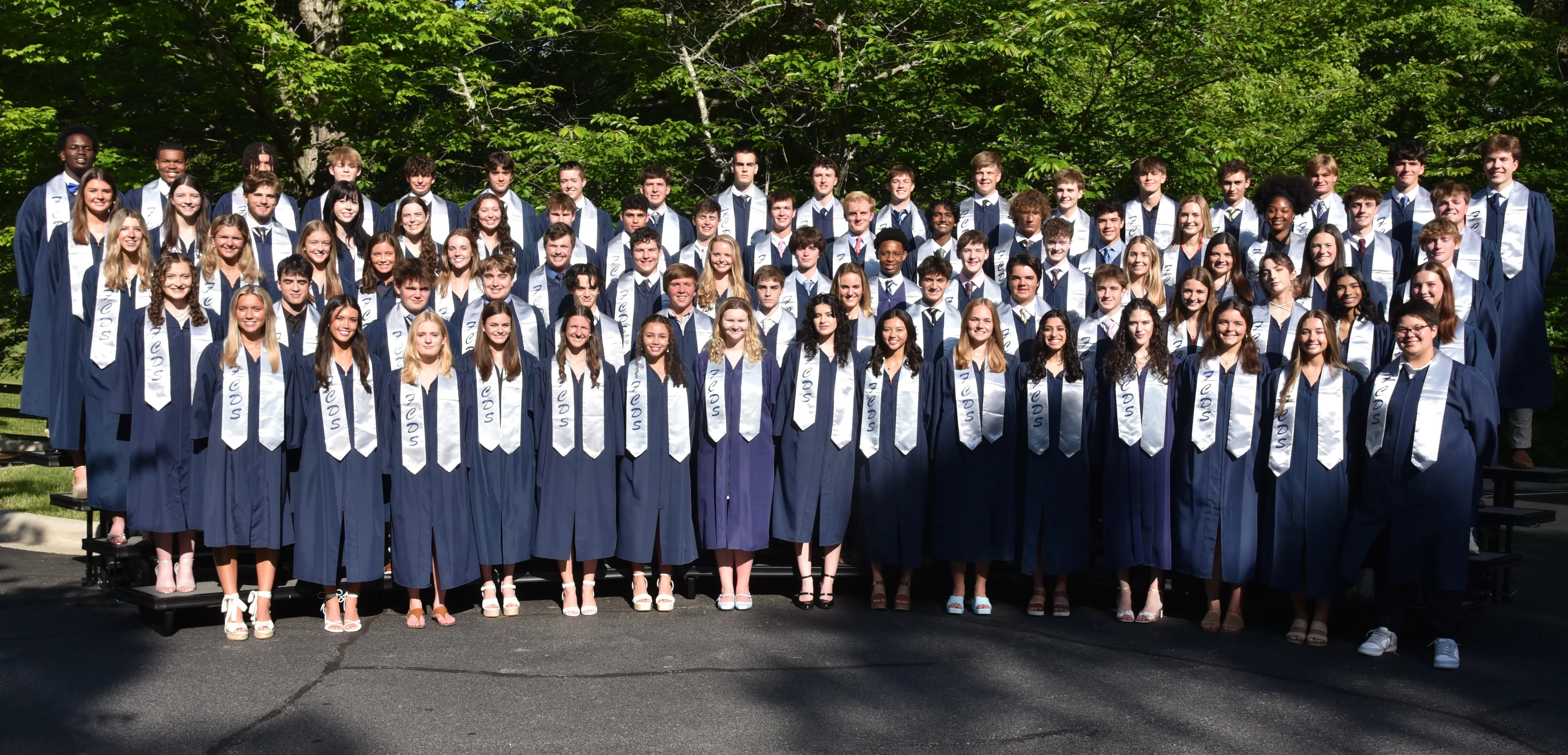  OptimizedImage,Optimized