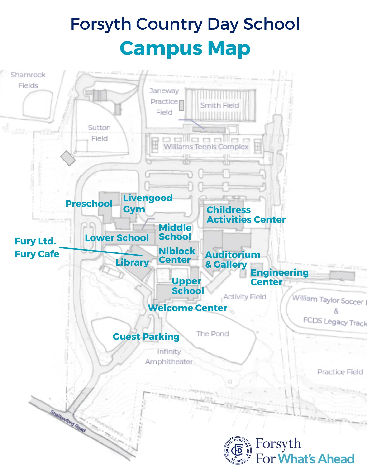  OptimizedImage,Optimized