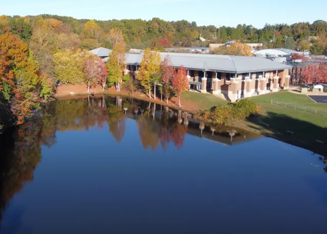  OptimizedImage,Optimized