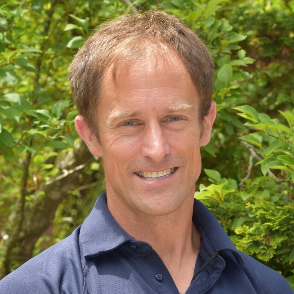 OriginalImage,Original