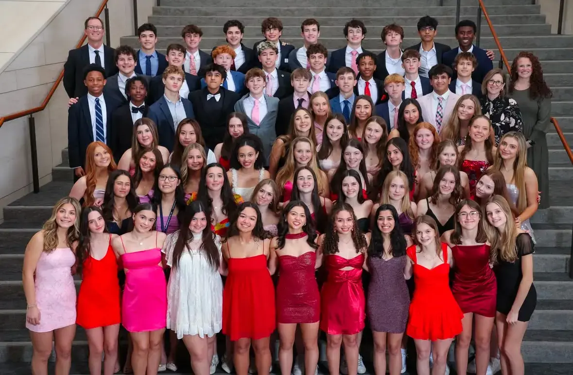  OptimizedImage,Optimized